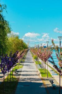 a walkway lined with trees with pink flowers at Kuća za odmor Šimun in Vukovar