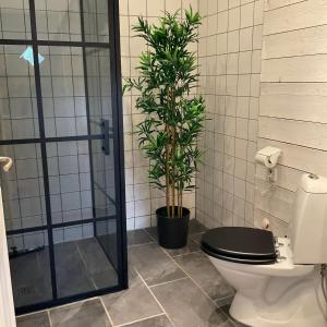 a bathroom with a toilet and a potted plant at Kolarbogård in Fors