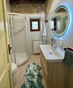 uma casa de banho com um lavatório, um chuveiro e um WC. em Rural Apartments Ritossa em Vižinada