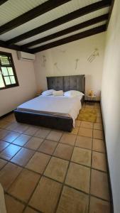 ein Schlafzimmer mit einem großen Bett in einem Zimmer in der Unterkunft Maison de 3 chambres avec sauna terrasse et wifi a Ducos in Ducos