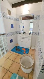 ein Badezimmer mit einem Waschbecken und einer Arbeitsplatte in der Unterkunft Maison de 3 chambres avec sauna terrasse et wifi a Ducos in Ducos