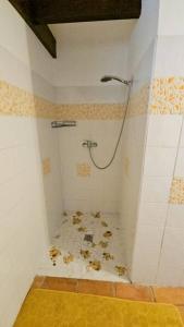 ein Bad mit einer Dusche mit Blättern auf dem Boden in der Unterkunft Maison de 3 chambres avec sauna terrasse et wifi a Ducos in Ducos