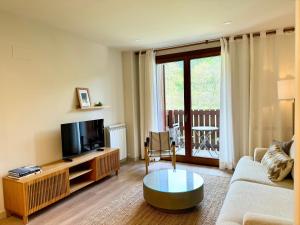 a living room with a couch and a tv at BPIRINEOS-Besurta in Benasque