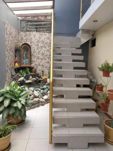 Urbanizacion Buenos Aires的住宿－House Yupanqui，盆栽的房间里,楼梯