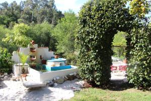 Casa da Azenha Branca في Castelo do Neiva: حديقة بها مسبح وشجرة كبيرة