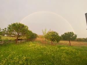 einen Regenbogen über einem Feld mit Blumen und Bäumen in der Unterkunft Vapori Otel in Bozcaada