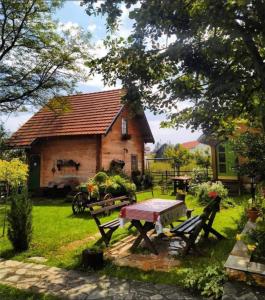 a house with a picnic table in front of it at Apartments Vila Selena - Golija in Rudno
