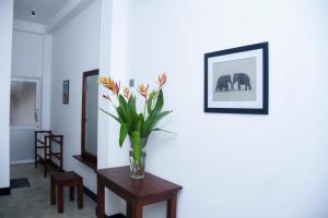 Galería fotográfica de The Ceylon Lazy Lagoon Mirissa en Mirissa