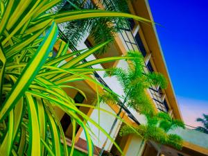 un edificio con palmeras delante en Sparkling Resort Kataragama, en Kataragama