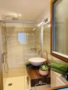 un bagno con lavandino e doccia in vetro di Velvet Eiger a Grindelwald Altre 26 foto