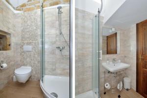 uma casa de banho com um chuveiro, um WC e um lavatório. em Rural Apartments Ritossa em Vižinada