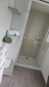 La salle de bains est pourvue d'une douche avec une porte en verre. dans l'établissement Mobil home les sables d'or, au Cap d'Agde
