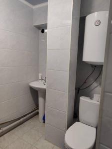 カラコルにあるErkina's - Beautiful Condo in downtownのトイレと洗面台を備えた白いバスルーム