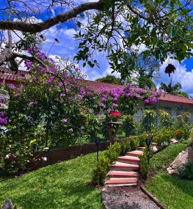 un jardín con flores púrpuras y un camino en Finca Hotel Mirador La Casona Quindio-Eje Cafetero, en Pueblo Tapado