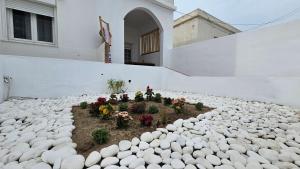 Φωτογραφία από το άλμπουμ του Captain Giorgos House σε Πολλώνια