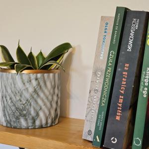 a book shelf with a potted plant and books at Zakatek Mala-apartamenty nad jeziorem in Kołczewo +35 photos