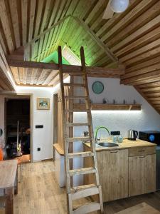 a loft bed in a kitchen with a ladder at Penzion s rafty in Vyšší Brod