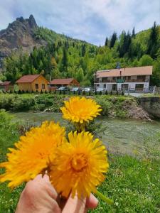 a person holding yellow flowers in front of a river at Pensiunea Cheile Șugăului in Bicaz Chei