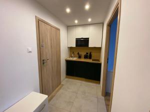 Kuchyň nebo kuchyňský kout v ubytování Leśne Apartamenty - Apartament Zielony