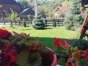 a yard with a fence and red flowers at VILA ALICE & DENIS in Bran +1 photo