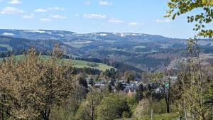 a view of a valley with snow capped mountains at Ferienwohnung Berndt in Meuselbach-Schwarzmühle