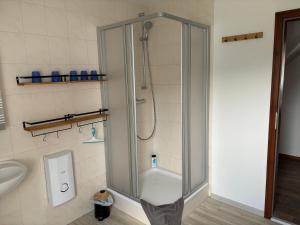 uma cabina de duche na casa de banho com um lavatório em Villa Affenhaus em Treben