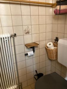 Koupelna v ubytování Ellmauhof + 30 fotografií