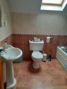 uma casa de banho com um WC e um lavatório em Nature's Rest em Carrick on Shannon