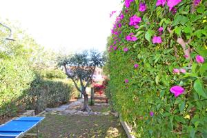 un jardín con flores rosas y un banco azul en Bilo Blu Holiday a 80 metri dal mare, en Costa Rei