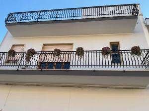 einen Balkon mit Topfpflanzen auf einem Gebäude in der Unterkunft “da nonna Lucia” in Lequile