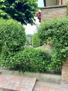 a brick wall with bushes next to a building at Casa Matilde in Ferrara