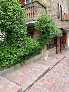 a dog sitting on a brick sidewalk next to a building at Casa Matilde in Ferrara