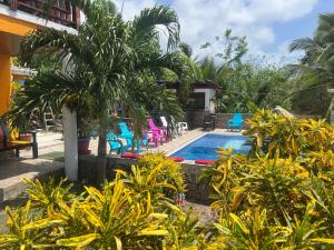 a resort with a swimming pool and colorful chairs at Posada Ashanty in Providencia
