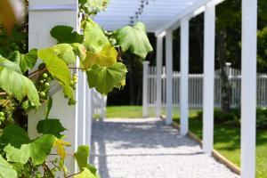 博爾穆霍斯的住宿－The Lodge at Jackson Village，白色的栅栏,有一大堆绿色葡萄