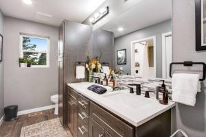 a bathroom with a sink and a toilet and a mirror at Mountain and Pond View, HotTub, Stars, Kid and Dog Friendly in Florissant +31 photos