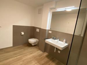 a bathroom with a toilet and a sink and a mirror at Hofgut Breitenbach in Markdorf +24 photos