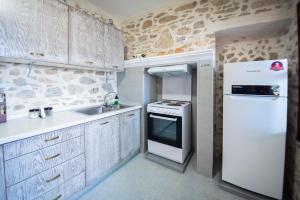 a kitchen with a white refrigerator and a sink at Villa See the Sea in Symi
