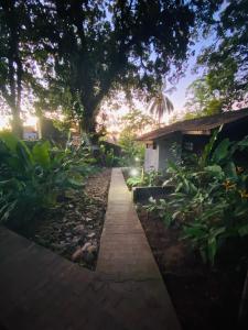 a walkway leading to a house in a garden at Pousada Coco Dendê in Ilha de Boipeba