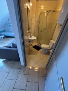 ゴンスキにあるNostalgia Gąskiのシャワーとトイレ付きのバスルーム