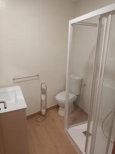 a bathroom with a toilet and a glass shower at Apartamento Café Teatro in Arzúa