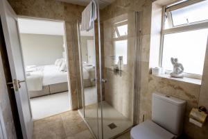a bathroom with a shower and a toilet at Coastal View House in Doolin