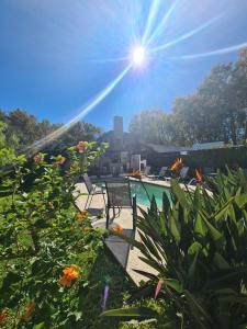 a swimming pool with chairs and plants in a yard at Posada El Capullo in Colonia del Sacramento