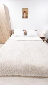 Giường trong phòng chung tại Charming flat with terrace