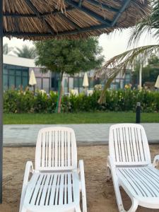 Κήπος έξω από το Wishes Luxury villa near to beach