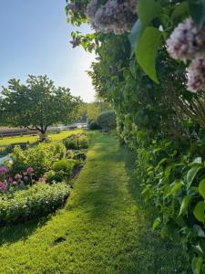 un giardino con una fila di cespugli e fiori di Ars Vivendi a Strasen