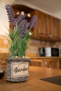 une plante en pot assise sur une table dans l'établissement Szenti Vendégház, à Győr