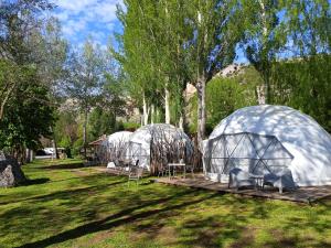 three domes in a field with chairs in the grass at Glamping Cañon del Rio Lobos in Ucero