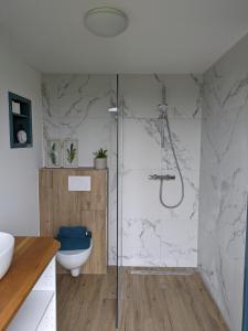 uma casa de banho com um chuveiro e um WC. em Caravan Zee by BnB de Kapitein em 't Horntje