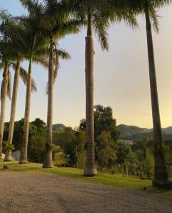 een groep palmbomen in een park bij Recanto da Tuca in Socorro