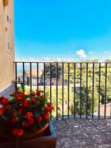 カプラローラにあるCasa Checca appartamenti per vacanzeの赤い花の鉢と柵のあるバルコニー
